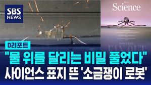 [D리포트] "물 위를 뛰어다녀" 소금쟁이 로봇 개발 성공