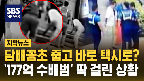 [자막뉴스] 담배꽁초 버리다 딱 걸렸다…177억 수배범 길거리서 체포