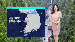 [날씨] 서울 33.5도·강릉 38도…절기 처서도 속수무책