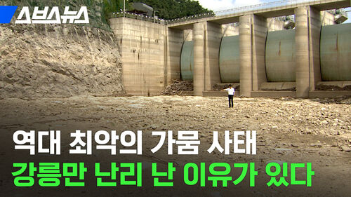 역대 최악의 가뭄 사태 강릉만 난리 난 이유가 있다