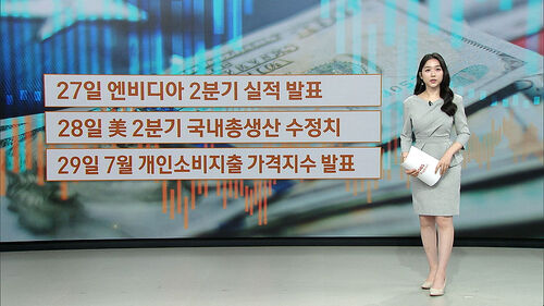 [뉴욕증시] 27일 엔비디아 2분기 실적 발표…이번 주 주요 일정