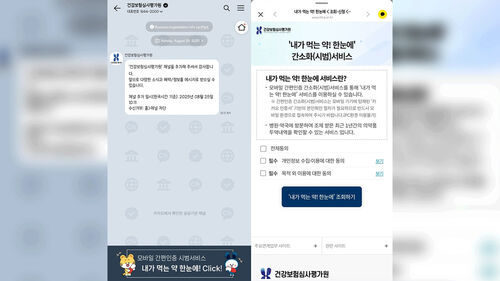 '내가 먹는 약' 더 간편하게 확인…카톡으로 1년 처방 이력 조회