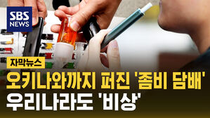 [자막뉴스] '좀비 담배' 오키나와 강타&hellip;우리나라도 차단