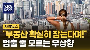 [자막뉴스] "부동산 확실히 잡는다며!" 멈출 줄 모르는 우상향