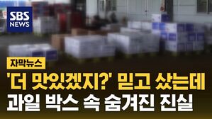 [자막뉴스] '더 맛있겠지?' 믿고 샀는데&hellip;과일 박스 속 숨겨진 진실