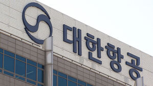 [단독] 대한항공 여객기 '바퀴 결함' 결항…승객 247명 발 동동