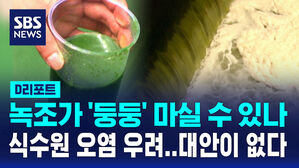 [D리포트] 식수원에 녹조 '둥둥'&hellip;대안 없는 사태에 주민 불안