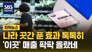 [자막뉴스] 소비쿠폰 정말로 효과 있었다&hellip;'이곳' 매출 팍팍 올랐네