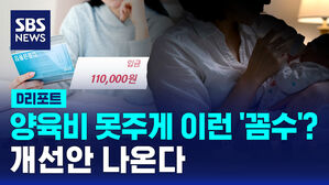 [D리포트] '양육비 꼼수' 막는다&hellip;최다 미지급액 3억 1,970만 원