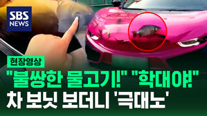 [현장영상] "물고기 넣을 곳이 없어서" 차 보닛을 수족관으로? 경고 날린 경찰