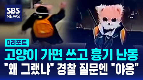 [D리포트] 고양이 가면 쓰고 흉기 휘둘러…"환청 듣고 범행"
