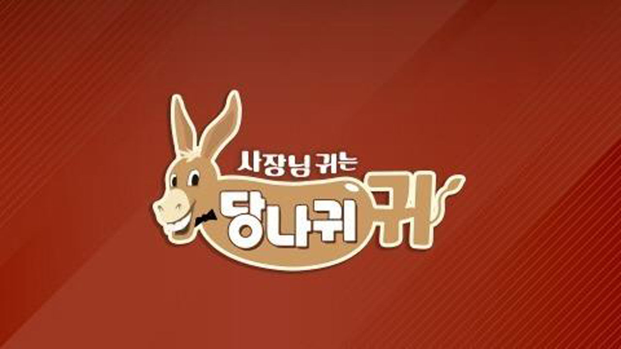 "도경완은 '서브'" 발언 논란 일파만파…'사당귀' 제작진 사과