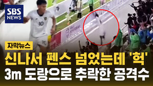 [자막뉴스] "신나서 펜스 넘었는데" 도랑으로 추락한 공격수&hellip;관중들 '깜놀'