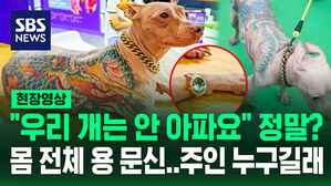 [현장영상] "이 품종은 통증 못 느껴" 마취 없이 용 문신 새긴 개 주인