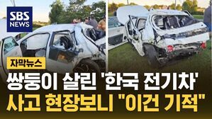 자막뉴스 구세주 한국 자동차