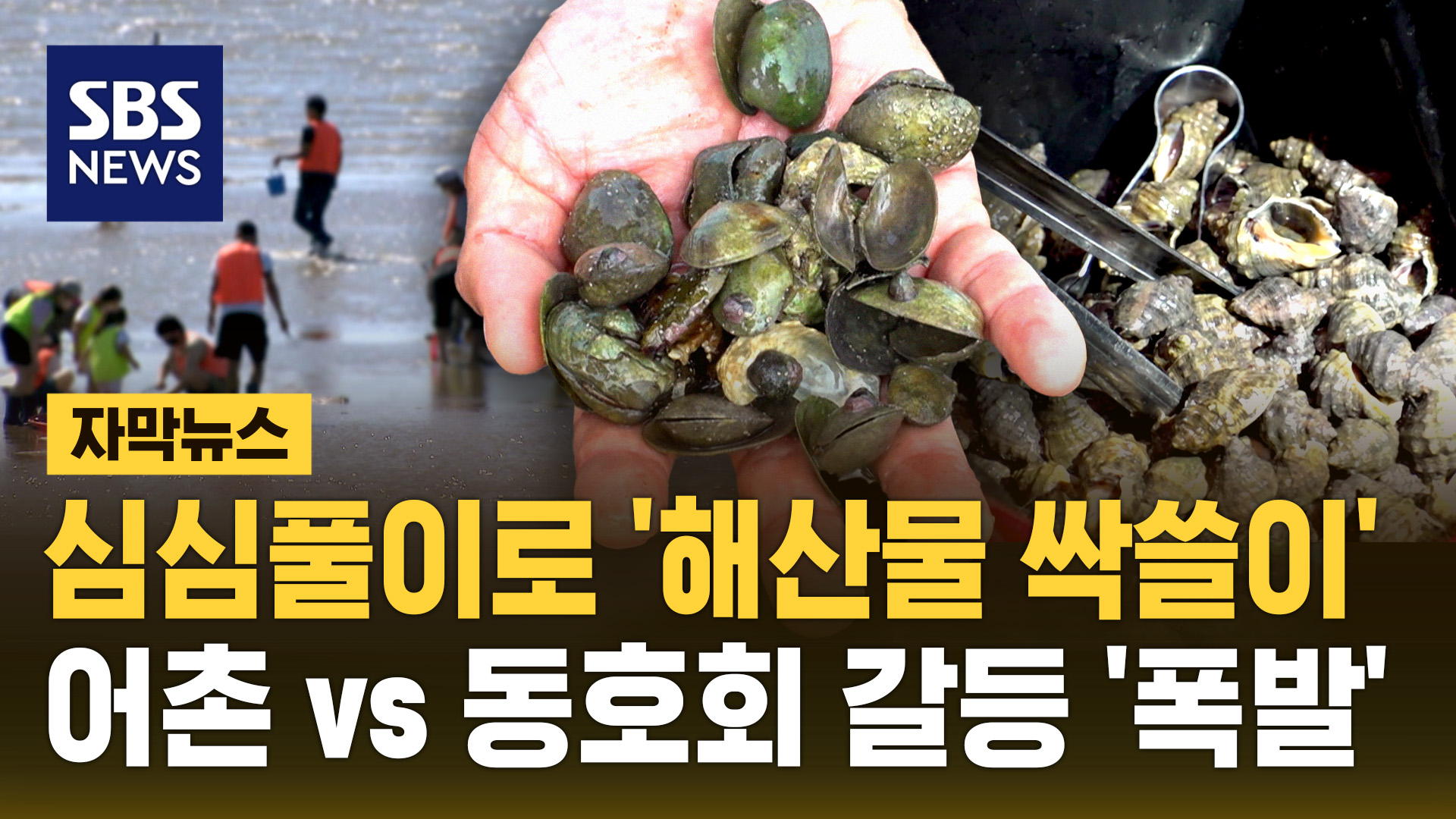 [자막뉴스] 심심풀이로 '해산물 싹쓸이'? 어촌 vs 해루질 동호회 갈등 '폭발'