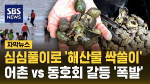 [자막뉴스] 심심풀이로 '해산물 싹쓸이'? 어촌 vs 해루질 동호회 갈등 '폭발'