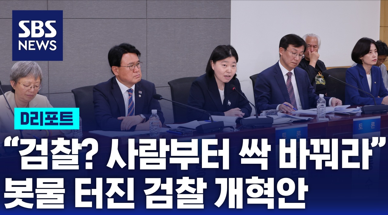 [D리포트]  검찰 개혁? 인사부터 싹 바꿔라 …봇물 터진 아이디어, 진짜 개혁 해법은?
