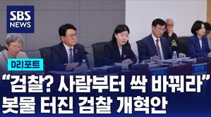 [D리포트] "검찰 개혁? 인사부터 싹 바꿔라"&hellip;봇물 터진 아이디어, 진짜 개혁 해법은?