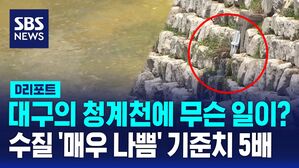 [D리포트] 범어천에 생활하수 '콸콸'&hellip;오수&middot;우수 분리 시급