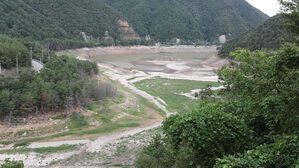 '가뭄 극심' 강릉에 재난사태 선포&hellip;국가소방동원령 발령