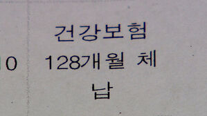 건보료 장기 체납자 95만 명&hellip;'고액 체납자' 1만 명 달해