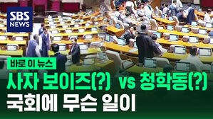 [바로이뉴스] 국회에 나타난 사자 보이즈(?)&hellip;상복 vs 한복 무슨 일?