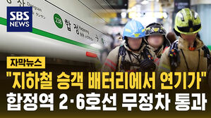 [자막뉴스] "지하철 승객 배터리에서 연기가!" 다급한 신고…합정역 2·6호선 열차 한때 무정차 통과