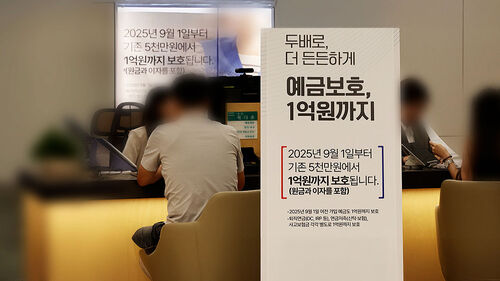 예금보호 1억까지…자금이동 징후 잠잠 이유는