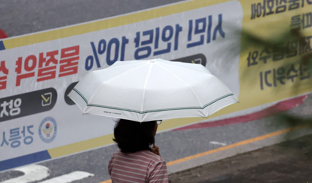 수도권 등 중부에 낮까지 비…'태풍 페이파' 덕에 동해안 단비