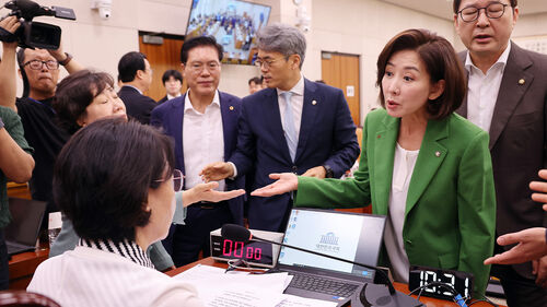 국회 법사위, 나경원 간사 선임 놓고 파행…"국회 독재" "내란 앞잡이" 충돌