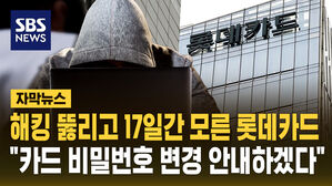 [자막뉴스] 롯데카드 해킹 뚫리고도 17일간 몰랐다