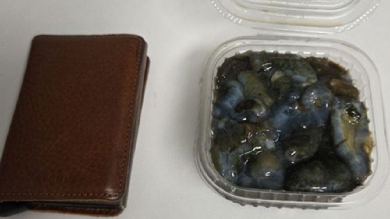 해삼 한 접시 7만 원…부산 모 횟집, 가격표 미게시로 과태료
