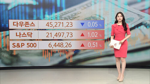 [뉴욕증시] 기술주 끌어올린 알파벳…나스닥 1%대 상승