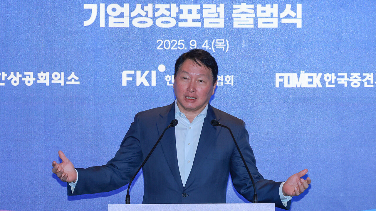 최태원 회장 "기업 사이즈별 규제 풀지 않으면 경제성장 없어"