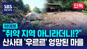 [단독] "안전하다"던 곳만 골라 산사태&hellip;산림당국 "다 관리하긴 역부족" (D리포트)