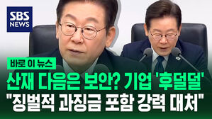[바로이뉴스] 산재 다음 타깃은 보안 사고 기업? "징벌적 과징금 포함 강력 대처"
