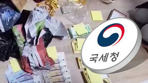 "악질 체납자 끝까지 잡는다"…조사 나선 국세청