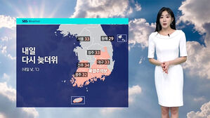 [날씨] 내일도 '늦더위' 33도 안팎…주말엔 비