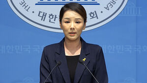 "당이 성폭력 외면"…조국혁신당 대변인 탈당