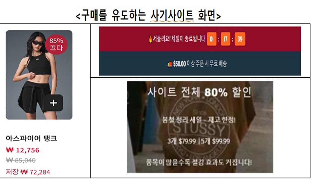 소비자원 "'알로' '스투시' 세일 SNS 광고, 사칭 주의"
