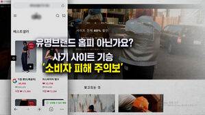 [뉴블더] 유명브랜드 홈피인 줄…사기 사이트 기승