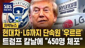[자막뉴스] 현대차&middot;LG까지 단속원 '우르르'&hellip;트럼프 칼날에 "450명 체포"
