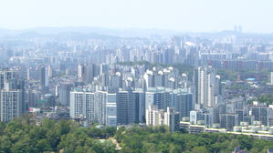 "'서울 아파트 보유' 미국인 63%, '한강벨트'에"