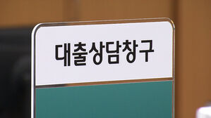 규제지역 LTV 40%로 축소…사업자 대출 금지