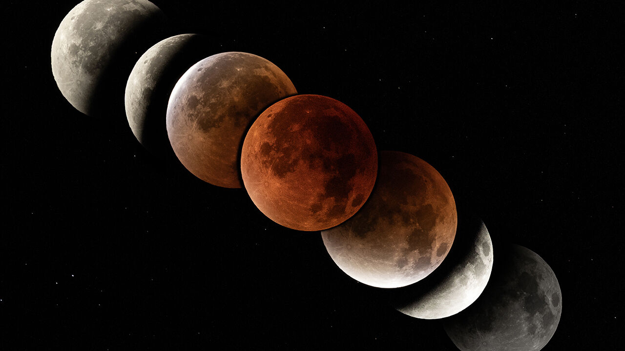 "시험 기간에 블러드문 보러 왔어요"…월요일 새벽의 '우주쇼'