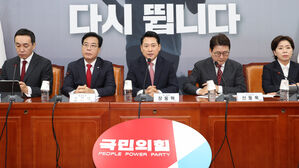 국민의힘, '미국 구금사태' 연일 공세&hellip;"한미동맹 붕괴"