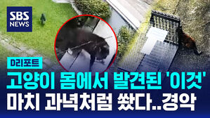 [단독] 껑충 뛴 고양이 몸에 '화살' 관통…"모종 밟아 화나서 쐈다" (D리포트)