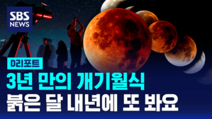 [D리포트] 3년 만의 개기월식, 붉은 달 내년에 또 봐요