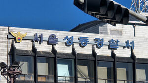 보험사기로 1억 원대 챙겨&hellip;배달기사 20명 덜미